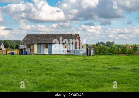 Hangar fermier coloré plaqué métal et prairies verdoyantes dans la campagne flamande à Linter, belgique Banque D'Images