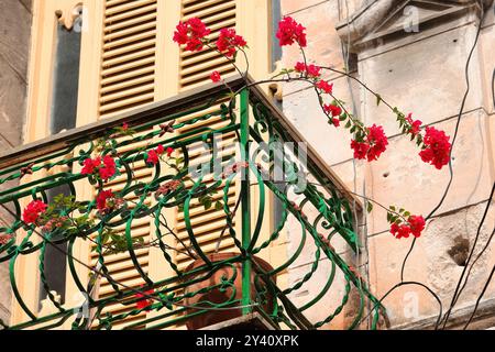 711 fleurs de bougainvilliers rouges poussant sur le balcon du premier étage d'une maison de style éclectique au 358 Calle Amargura Street, Habana Vieja. La Havane-Cuba. Banque D'Images
