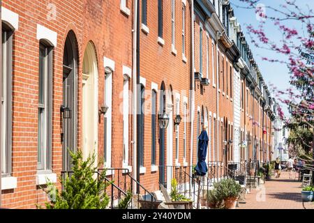 Row Homes on Street in Philadelphia , Graduate Hospital/South Philadelphia, Philadelphie, Pennsylvanie, États-Unis, Pennsylvanie, États-Unis Banque D'Images