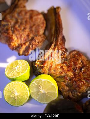 Un repas complet avec des brochettes d'agneau grillées, de la salade fraîche, des cornichons et du riz pour un festin copieux. Banque D'Images