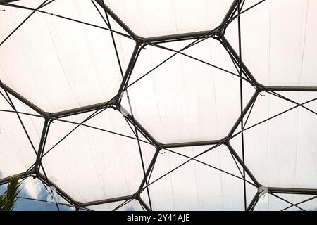 Une vue rapprochée d'une structure de dôme géodésique, présentant des panneaux hexagonaux et une ossature métallique. Le matériau transparent permet à la lumière de filtrer à travers Banque D'Images