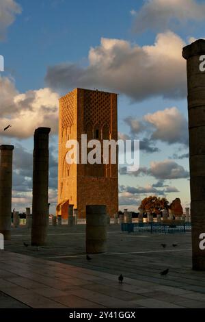 Le Mausolée de Mohammed V et les jardins de la Tour Hassan Rabat, Maroc, Afrique du Nord Banque D'Images