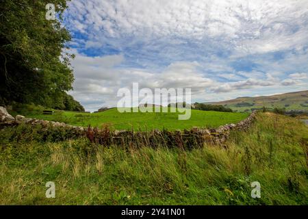 Un mur de pierre sèche emblématique se courbe autour des contours d'un pâturage de moutons sur Quarry Road près de Sedbusk, Upper Wensleydale, Yorkshire Dales National Park. Banque D'Images