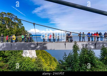 Der Skywalk Königsstuhl an den Kreidefelsen von Rügen, Aussichtsplattform an der berühmten Felsformation Königsstuhl, Barrierefrei, im Nationalpark Jasmund, Blick auf die Ostsee und die Kreidefelsen Küste, zwischen Sassnitz und Lohme, Mecklenburg-Vorpommern, Deutschland, Skywalk Königsstuhl *** The Skywalk Königsstuhl sur les falaises de craie de Rügen, plate-forme d'observation de la célèbre formation roche de Königsstuhl, vue sur la côte balnéaire de Königsstuhl, mer Baltique, Secklembourgeoise, Secklench-mer de la côte de Jasmerd, Mecklembourg, Allemagne, Mecklembourg-Secklembourg-Smerd, entre la mer de et la mer de Banque D'Images