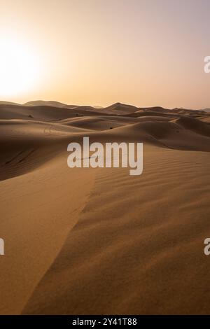 Dunes ERG Chebbi au lever du soleil avec une lumière rude Banque D'Images