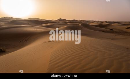 Dunes ERG Chebbi au lever du soleil avec une lumière rude Banque D'Images