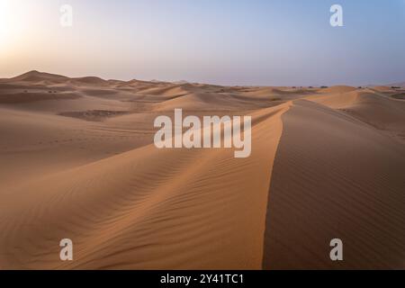 Dunes ERG Chebbi au lever du soleil avec une lumière rude Banque D'Images