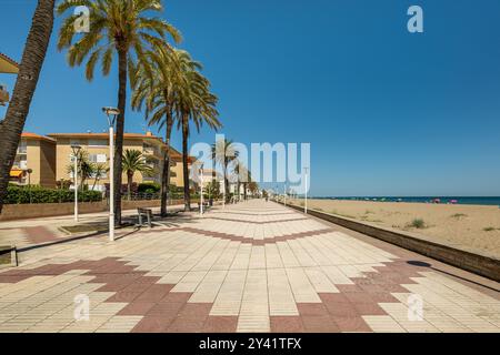 La belle et pittoresque promenade de la plage est bordée de grands palmiers et offre une atmosphère vibrante Banque D'Images