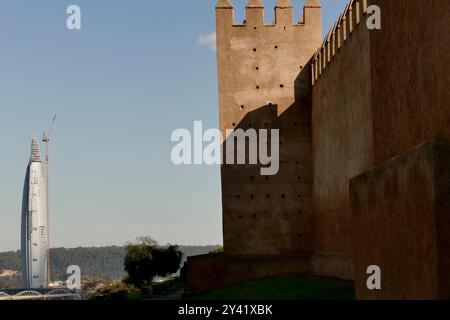 El Chellah, jardins paysagers sur le site d'une ancienne citadelle avec ruines romaines et tombeaux royaux où nichent des centaines de cigognes. Rabat, Maroc Banque D'Images