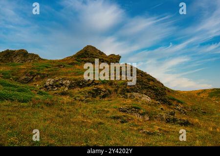 Un paysage pittoresque avec une colline rocheuse couverte d'herbe verte et de fleurs sauvages sous un ciel bleu avec des nuages tortueux. Banque D'Images