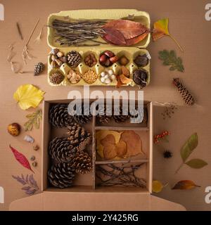 Arrangement d'objets naturels dans deux boîtes avec herbes séchées, feuilles, graines, noix, plumes, pommes de pin, tranches de bois, brindilles et éléments dispersés Banque D'Images