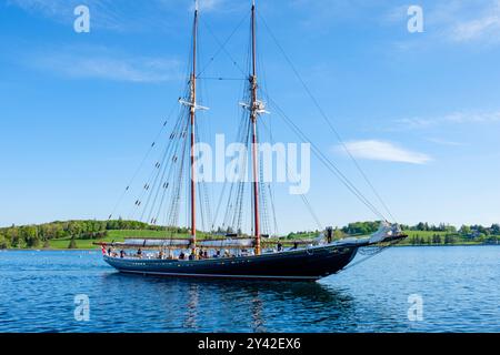 Goélette Bluenose II naviguant sur le port de Lunenburg, Nouvelle-Écosse, Canada atlantique Banque D'Images