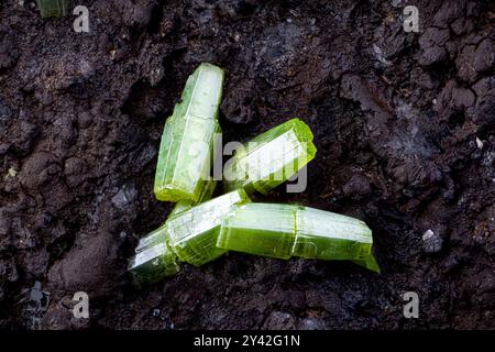Tonneau de pyromorphite vert. Spécimen du Mas dieu, Laval-Pradel, Gard, France. Micro photographie en gros plan. photogra de cristal minéral de microscope Banque D'Images