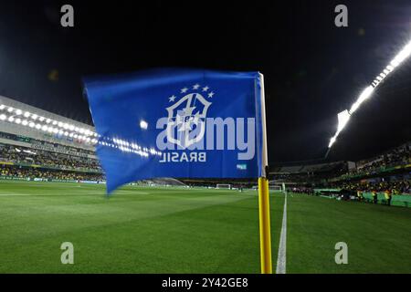 7 septembre 2024 : stade Couto Pereira, Curitiba, Brésil : qualifications pour la Coupe du monde CONMEBOL 2026, Brésil - Équateur : emblème du Brésil sur le drapeau Banque D'Images