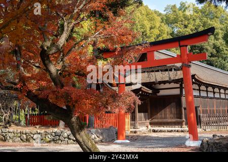 Kyoto, Japon - 11 décembre 2023 : automne du sanctuaire Kamigamo Banque D'Images