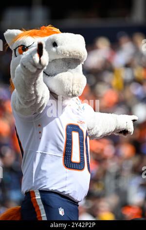 Denver, États-Unis. 15 septembre 2024 : la mascotte des Broncos de Denver milles œufs dans la foule dans la première moitié du match de football entre les Broncos de Denver et les Steelers de Pittsburgh Derek Regensburger/CSM. Crédit : Cal Sport Media/Alamy Live News Banque D'Images
