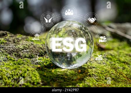 ESG Icon concept environnemental, social et gouvernance dans les affaires durables et éthiques sur la connexion réseau sur un fond vert. Graphique réf Banque D'Images