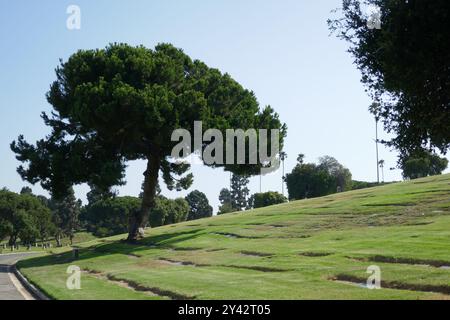 Inglewood, Californie, USA 14 septembre 2024 Inglewood Park Cemetery le 14 septembre 2024 à Inglewood, Californie, USA. Photo de Barry King/Alamy Stock photo Banque D'Images