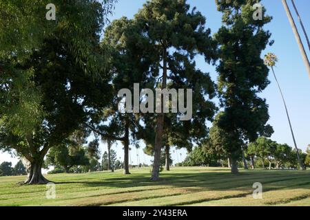 Inglewood, Californie, USA 14 septembre 2024 Inglewood Park Cemetery le 14 septembre 2024 à Inglewood, Californie, USA. Photo de Barry King/Alamy Stock photo Banque D'Images