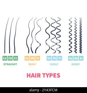 Tableau détaillé des types de cheveux ensemble de modèles de croissance des mèches Illustration de Vecteur