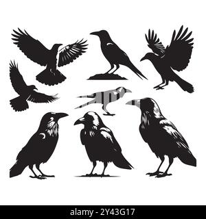 Ensemble de vecteur de silhouette de corbeau sur un fond blanc Illustration de Vecteur