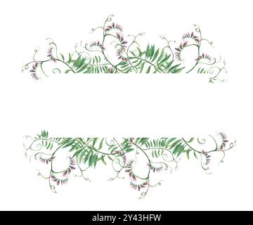 Bannière de brindilles de fleurs sauvages. Plante grimpante avec fleurs roses, bourgeons et feuilles frisées vertes. Illustration de modèle floral d'aquarelle. Herbe de prairie Banque D'Images