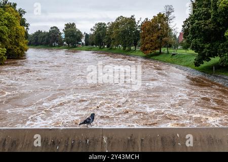 Hradec Kralove, République tchèque. 16 septembre 2024. L'Elbe à la centrale hydroélectrique de Hucak, à Hradec Kralove, République tchèque, le 16 septembre 2024. Crédit : David Tanecek/CTK photo/Alamy Live News Banque D'Images