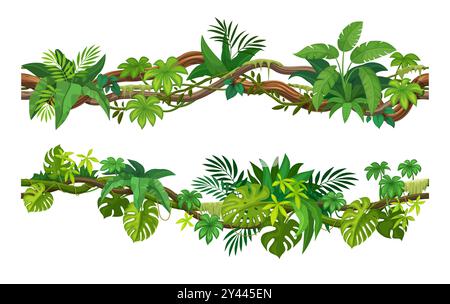 Vignes de liane tropicales et branches de lierre avec des feuilles de monstera et de plante de la jungle, vecteur de bande dessinée. Liane rampante de la forêt tropicale humide ou araignée avec branches grimpantes et vrilles hedera pour le cadre Illustration de Vecteur