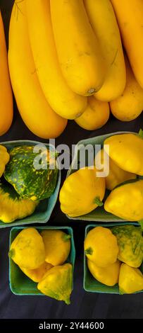 Courge jaune et pattypan dans des cartons verts à un étal du marché Banque D'Images