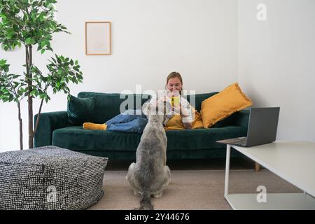 Jeune femme avec chien à l'aide d'un smartphone sur le canapé à la maison Banque D'Images