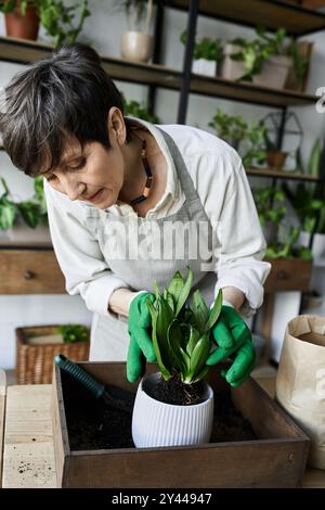 Un jardinier tend avec amour à ses plantes dans un espace confortable et vert rempli. Banque D'Images