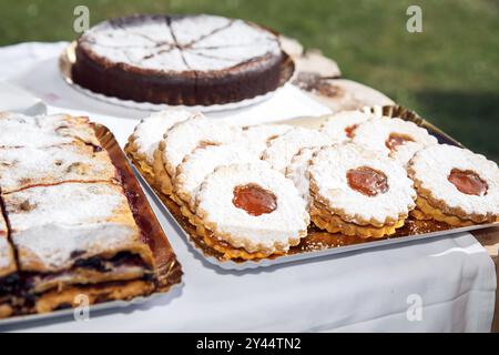 Délicieux assortiment de pâtisseries maison, biscuits saupoudrés de sucre, tranches de tarte aux fruits et gâteau au chocolat sur des plateaux lors d'événements extérieurs, dessert, conce alimentaire Banque D'Images