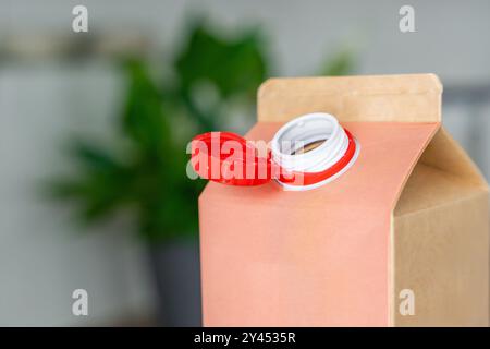 Conteneur en carton longue durée à partir de matériaux recyclés avec bouchon fixe en plastique. Le bouchon reste attaché après ouverture, ce qui rend l'emballage entier Banque D'Images