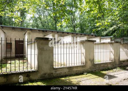 Complexe de chien dans le quartier général du commandement militaire SS du camp de concentration de Buchenwald. Les chiens étaient utilisés pour effrayer les prisonniers Banque D'Images