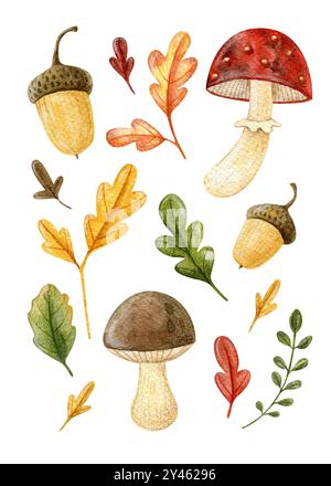 Grand ensemble d'illustrations d'automne d'aquarelle isolées sur un fond blanc. Illustrations forestières : feuilles, champignons, glands, mouches agariques. Parfait pour Banque D'Images