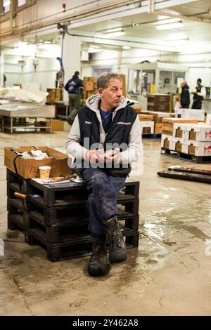 En attente des clients employé du marché de gros attendant de nouvelles commandes au New Fulton Fish Market, Hunts point, le Bronx. Bronx, New York, États-Unis. The Bronx New Fulton Fish Market New York États-Unis Copyright : xGuidoxKoppesxPhotox Banque D'Images