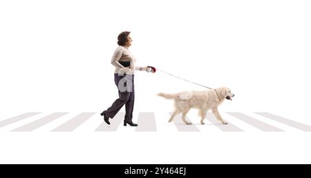 Plan de profil pleine longueur d'une femme mature traversant une rue avec un chien isolé sur fond blanc Banque D'Images