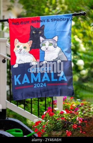 Drapeau de l'élection présidentielle américaine de 2024 avec trois chats pour le vice-président Kamala Harris déclarant Big Guy, Benny & Sprout - chats pour Kamala. Le slogan est Banque D'Images