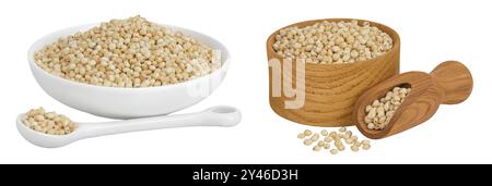 Graines de sorgho dans un bol en céramique et une cuillère isolés sur fond blanc avec pleine profondeur de champ. Banque D'Images