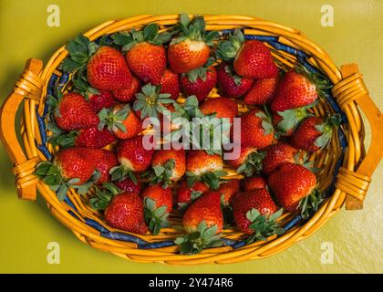 Beaucoup de fraises rouges fraîches et mûres dans un panier en osier en bois. Nourriture saine et saine. Vitamines. Régime alimentaire Banque D'Images