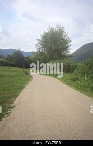 Promenade dans un parc au bord du lac bordé de roseaux et d'arbres par une journée nuageuse Banque D'Images