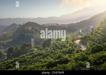 Vignobles et une route dans les collines de Prosecco. Site classé au patrimoine mondial de l'UNESCO. Valdobbiadene, région de Vénétie, Italie Banque D'Images