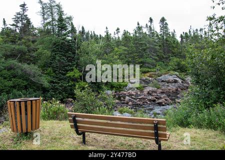 Banc et ruisseau dans un parc sur la route de conception Bay à Holyrood, Terre-Neuve-et-Labrador, Canada Banque D'Images