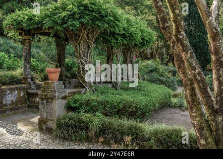 Parc national de Pena entourant le Palais de Pena dans la paroisse de São Pedro de Penaferrim dans la ville de Sintra, Portugal, Europe Banque D'Images