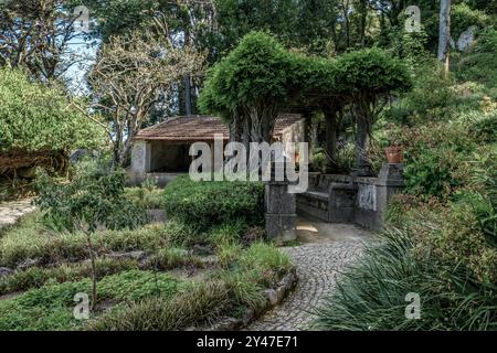 Parc national de Pena entourant le Palais de Pena dans la paroisse de São Pedro de Penaferrim dans la ville de Sintra, Portugal, Europe Banque D'Images