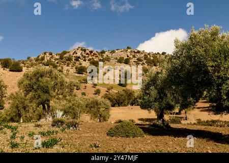 La ville sainte de Moulay Driss Zerhoun, Meknès. Maroc, Afrique du Nord Banque D'Images