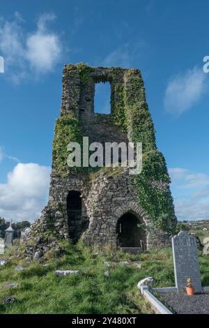 Ruines de l'abbaye à Ardmulchan County Meath Ireland Banque D'Images