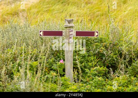 Un panneau de signalisation en bois altéré se trouve à une intersection de sentiers, avec des flèches pointant dans différentes directions tandis que la verdure vibrante entoure la zone und Banque D'Images