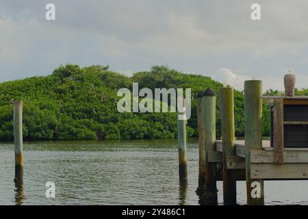 Large vue sur l'eau à Coffee pot Bayou oiseau conserve une petite île remplie de pélicans nicheurs, aigrettes d'autres oiseaux et avec des arbres de mangrove verdoyants. Banque D'Images