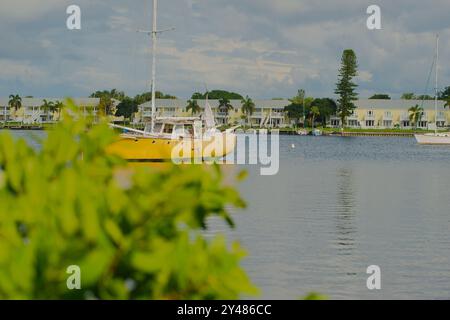 Vue large encadrée par des arbres verts sur l'eau bleue calme vers voilier jaune à Big Bayou eau vers les bâtiments, Channel et Tampa Bay. Ensoleillé Banque D'Images